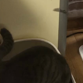 そこ違うぅぅぅ(^◇^;)の画像