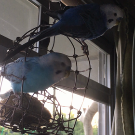 2021/06/14梅雨入りの画像