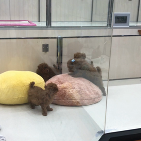 癒される時間＼(^^)／の画像