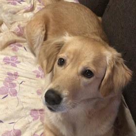 おはよーの画像