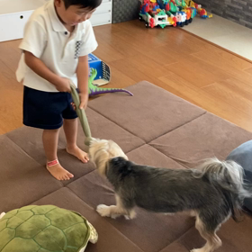 やれやれな夜。の画像