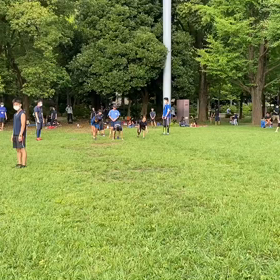 ダッシュ(茶色チーム)⑦の画像