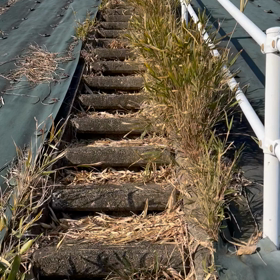 ZU~~~~~っと気になってた場所の画像