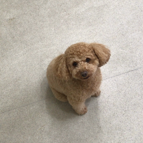 ♪プレイルーム動画♪①の画像