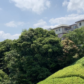 今日は良い日の画像