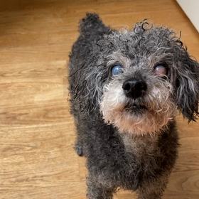 ご機嫌♡の画像