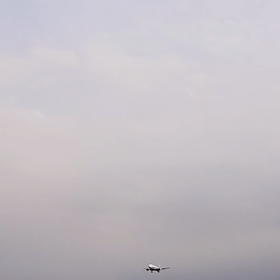 飛行機見てきたの画像