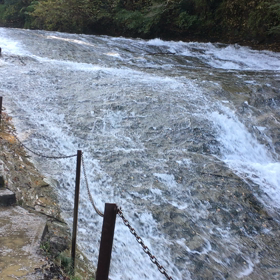 「見栄」を削ぎ落とす^ ^の画像