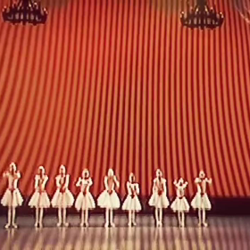 体験レッスン受付再開致しました‼の画像