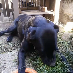 喜びの表現の画像