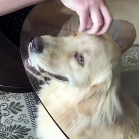 高度なテクの画像