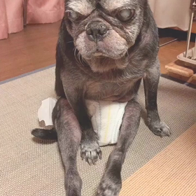 エルさん ( *˘ ³˘)♡♡♡の画像