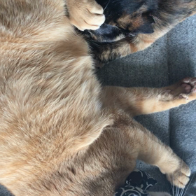 どうしたら、、、の画像