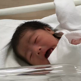 癒されますの画像