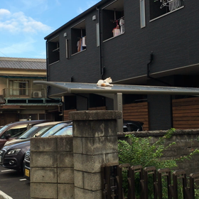 招き猫    (=^ェ^=)の画像