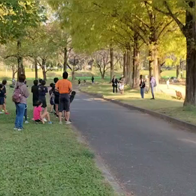 11/3　ミニ駅伝④の画像