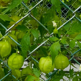 介護記録１４２（信用）の画像