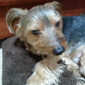 今日はう〜んう〜んの画像