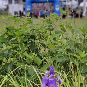 トレイルrunningの画像