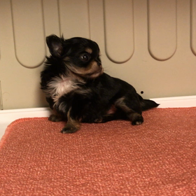 健康診断の画像