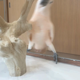 飽きませんの画像