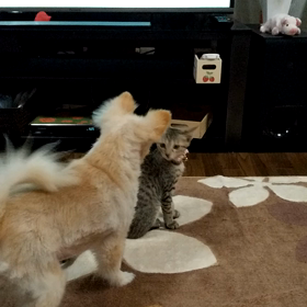 濡れて帰った話しの画像