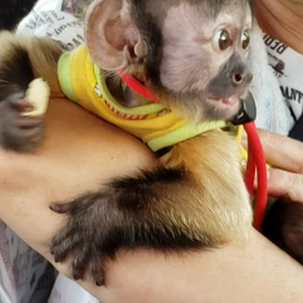 初めまして…令(ハル)ですの画像