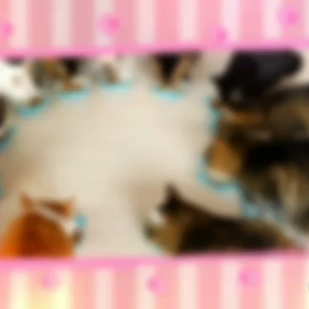 15時のサークルお食事タイム★の画像