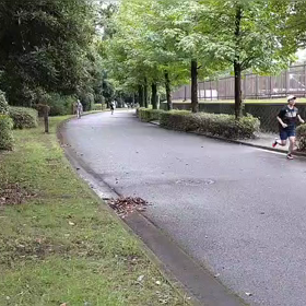 9月3日 1000m ゴール① 福士さんトップの画像