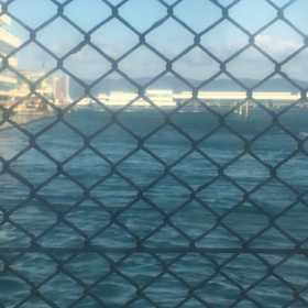 本日の若手レーサー３【動】の画像