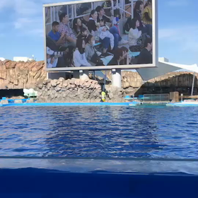 スクリーン〜デビュー(・ω・)笑笑の画像