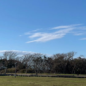 週の中日、お疲れ様ですの画像