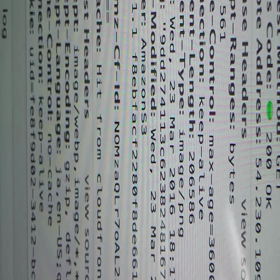 ほげほげの画像