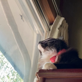 取れそうで取れないなぁ~~~(⑉･̆н･̆⑉)の画像