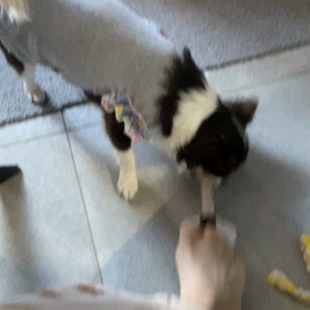 46歳でも第二子が欲しかったの画像