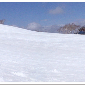 え？ほんまに？ 半回転？の画像