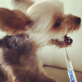 我が家流、家族それぞれを めちゃすごい人だと思える方法の画像