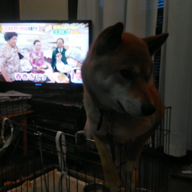 仕事から帰ったらまずはの画像