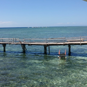 綺麗な海の画像