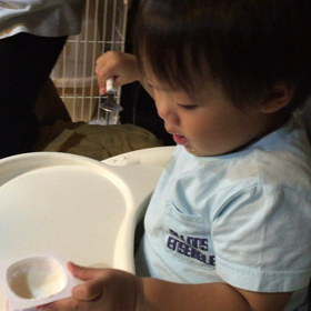 だいぶ上手に食べれるようになってきたの画像