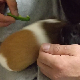 緊張感MAX②の画像