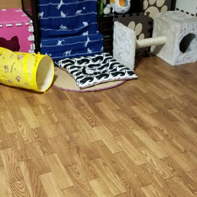 Ｒ＆Ｏ(35)真夜中より続く宴の画像