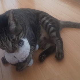 スヌーピーに盛ってます( ＞Д＜；)の画像