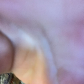 今日の晩ご飯は？の画像