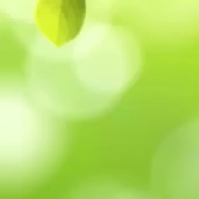 レッスン風景の動画30秒編 ②の画像