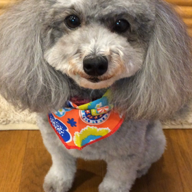 早く食べたい…(*´﹃`*)の画像