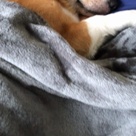 幸せな光景の画像