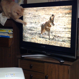 ユノ、絶好調の画像