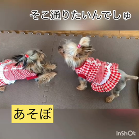 りんごとののの画像