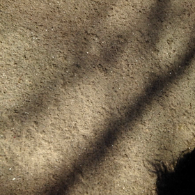 お気に入りballの画像